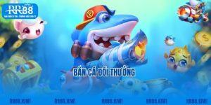 Bắn Cá Đổi Thưởng RR88 - Ngư Trường Cá Cược Dẫn Đầu Xu Hướng