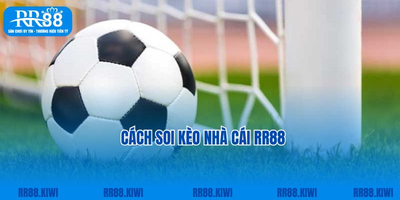 Cách soi kèo nhà cái RR88